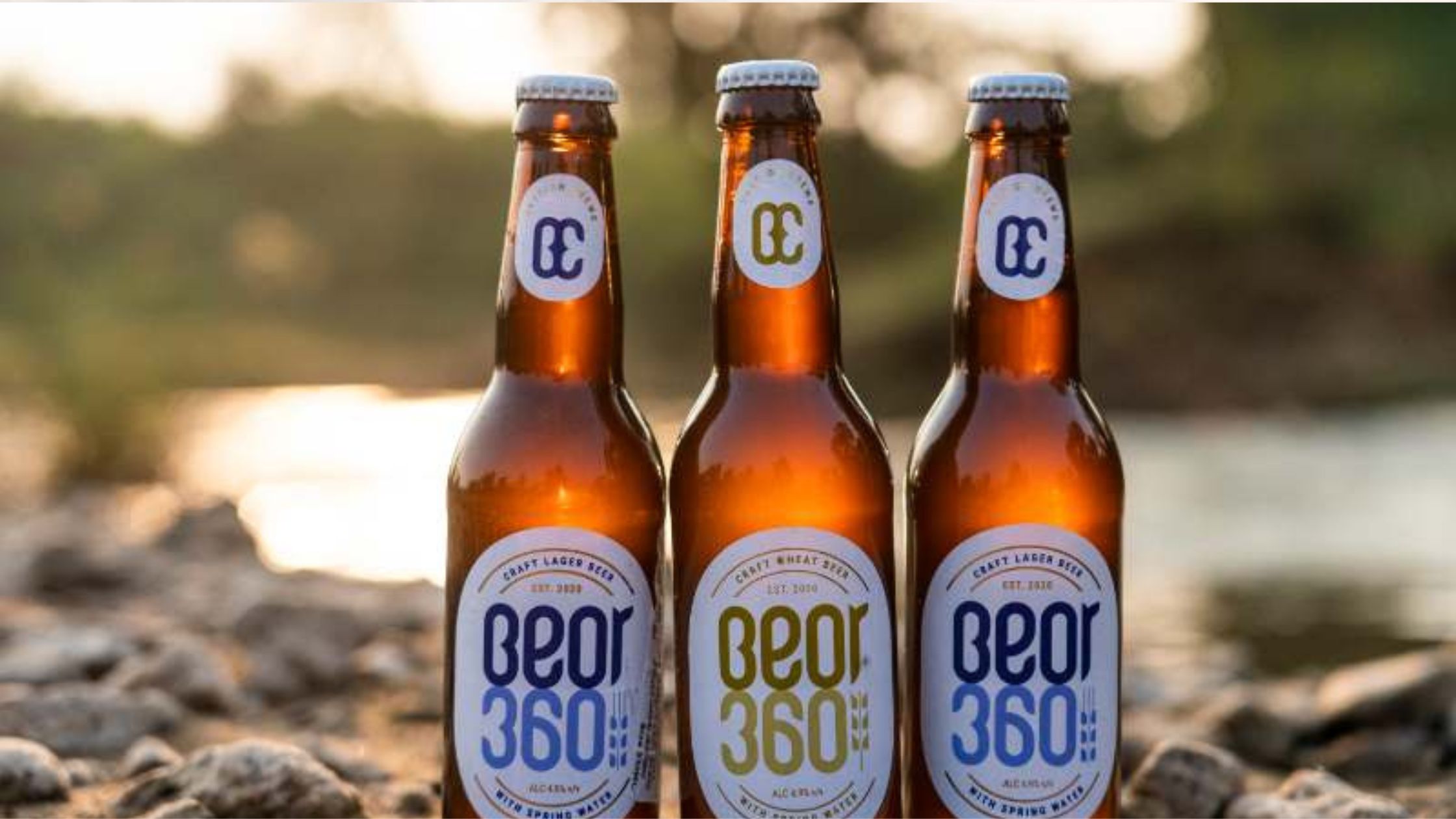 Beor 350 Wheat
